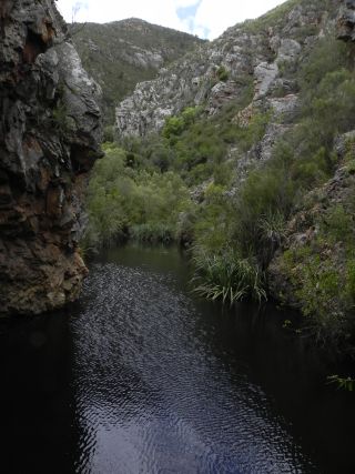 Klein rivier 5